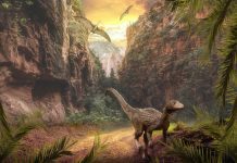 dinosaurios en jaen